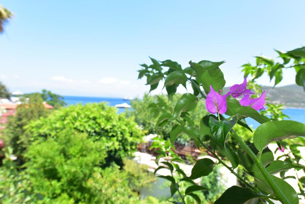 Maritim Hotel Göltürkbükü Eksteriør bilde
